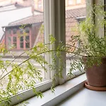 Stf Hostel Stigbergsliden